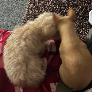 Meet your Posher, Mark